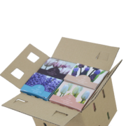 Bloembollenpakket Delfts Blauw - Afbeelding 5